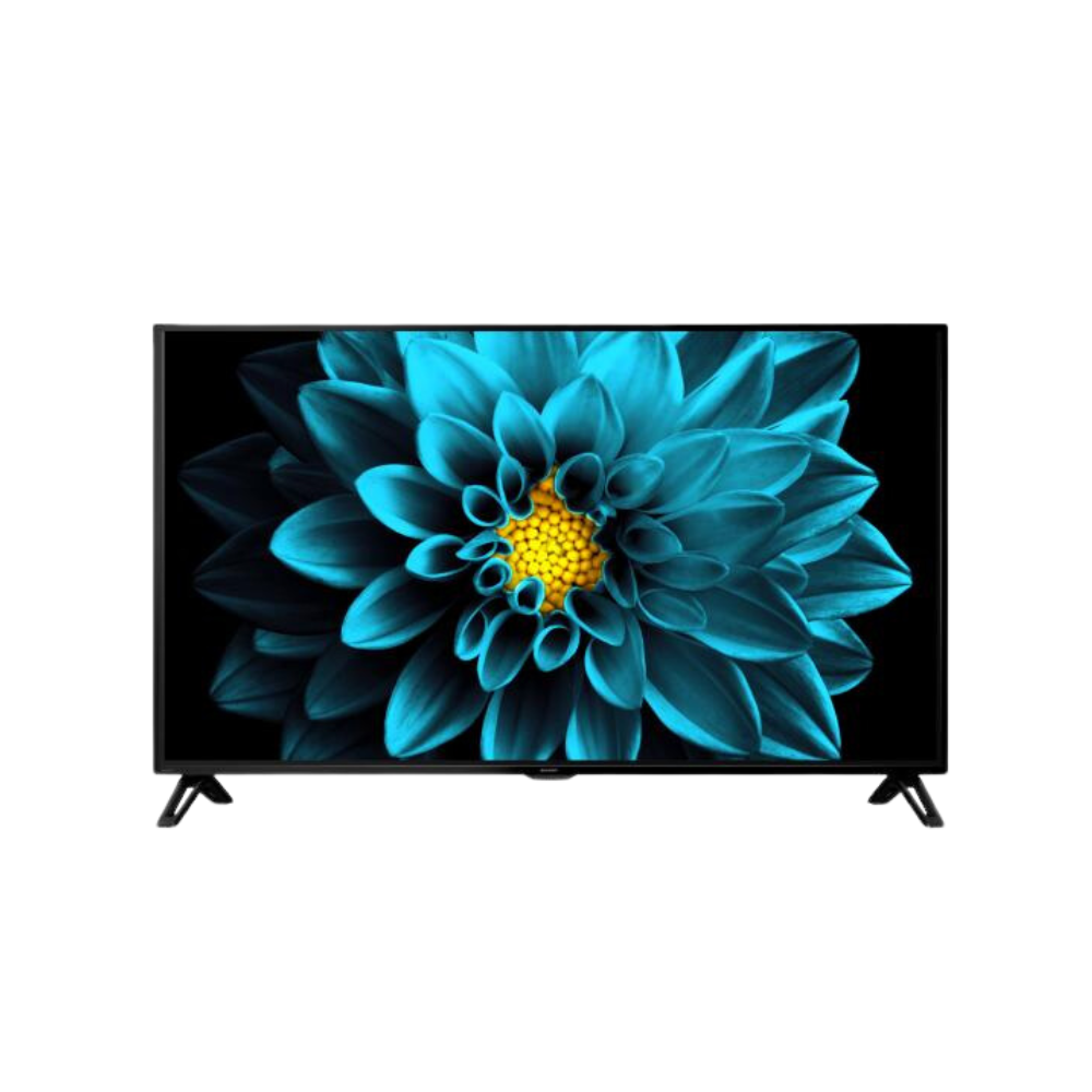 TV displaying a blue flower on a white background