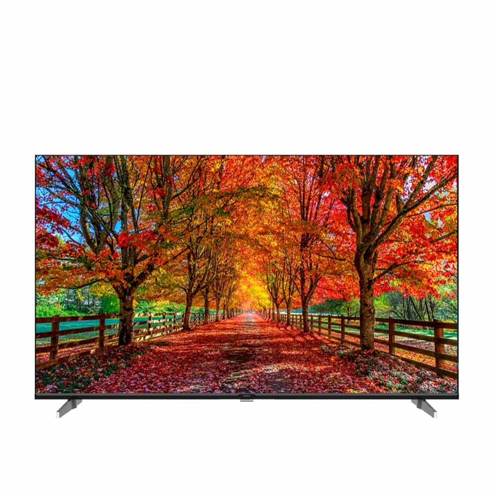 TV displaying a vibrant autumn scene with trees and a path.